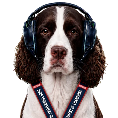 Data Dawg